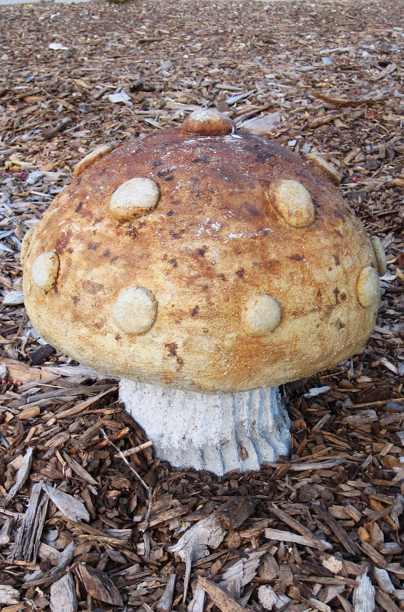 The finished mushroom